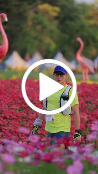 BIB:  <button type="button" onclick="openModal(27582938)" class="btn btn-primary btn-sm float-right" data-toggle="modal" data-target=".modal-high-quality">
                <i class="fa fa-download"></i> Download
                </button>